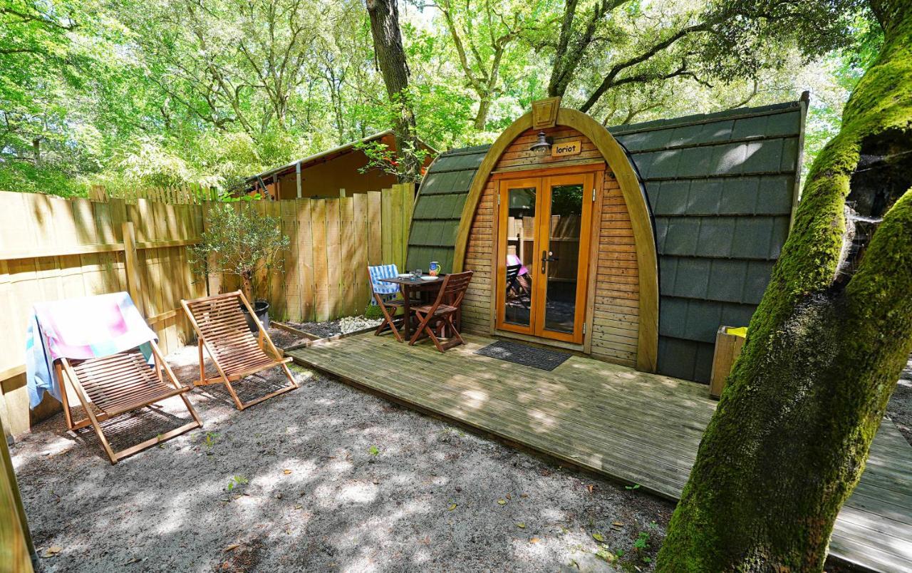Lodge Le