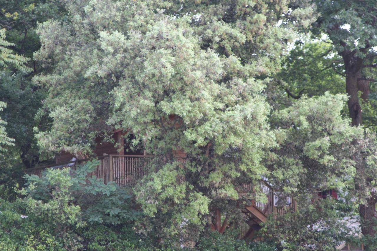 Lodge Le Lacanau