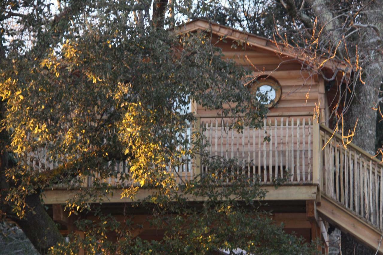 Lodge Le